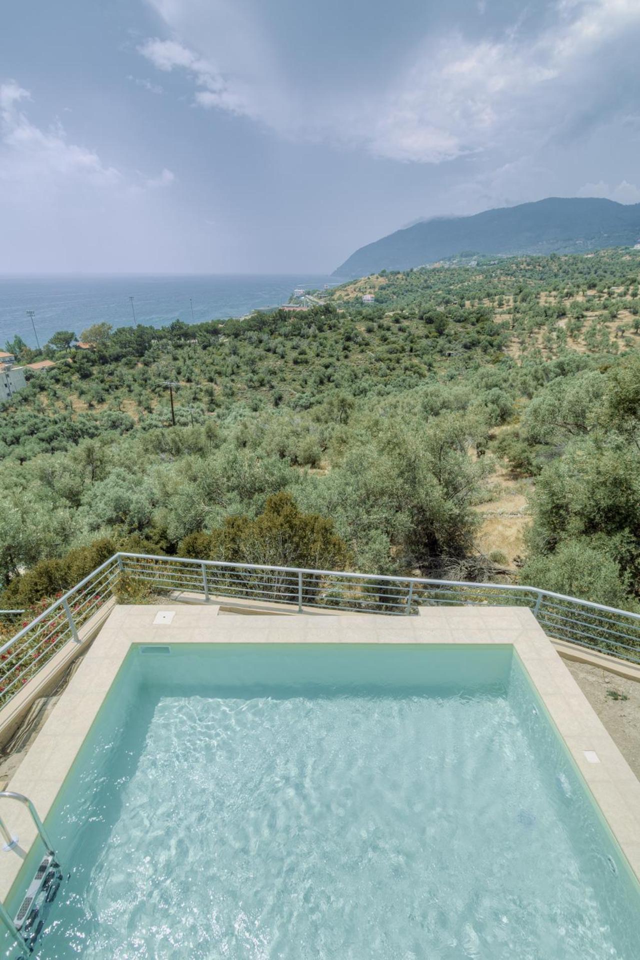 Ouzo Panoramic Houses 1, With Private Pool Plomári Kültér fotó